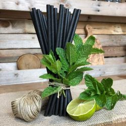 pailles-papier-noires-20-cm-biodegradables-par-25